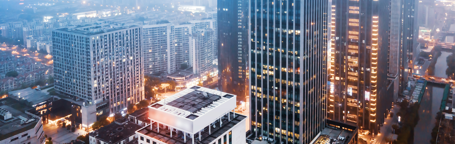 Alpha Realty Dominant Digitally Digital Marketing Agency